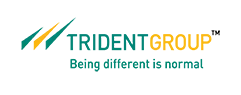 Trident Group